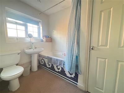 Picture 19